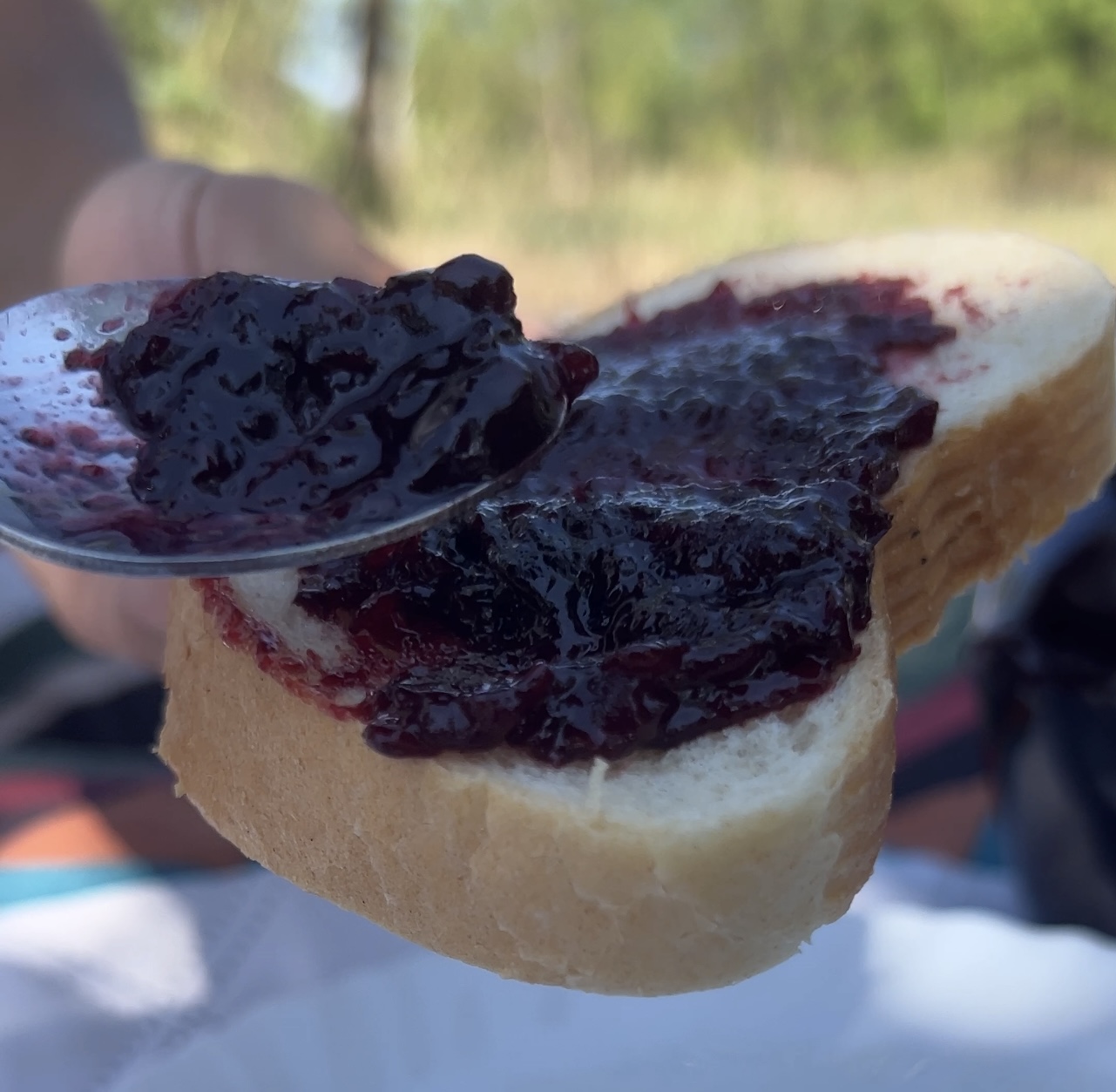 Dzem od sljiva na hlebu